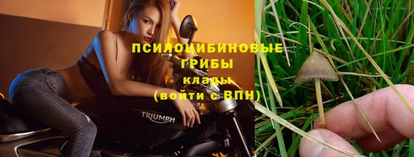 мдма Заводоуковск