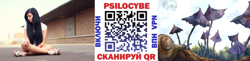 Галлюциногенные грибы GOLDEN TEACHER  купить закладку  Судогда 