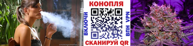 где можно купить наркотик  Судогда  Канабис план 